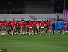 塞尔维亚队在欧洲大赛中表现抢眼() 塞尔维亚队在欧洲大赛中表现抢眼()